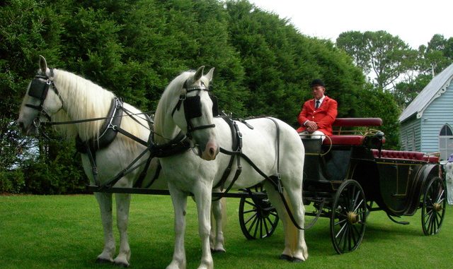 royal-horses-at-wedding